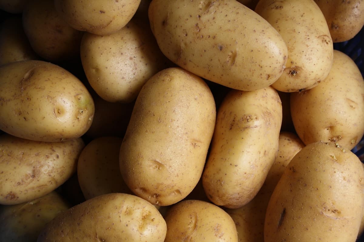Yukon Gold Potatoes 2kg